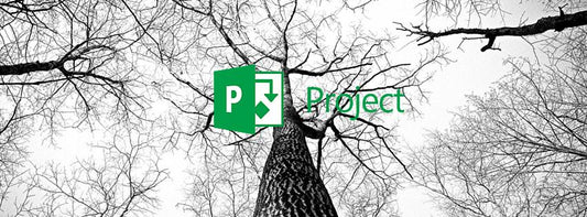 Dependencies with other projects in MS Project